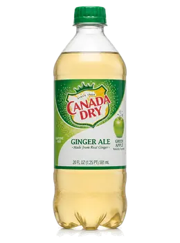 Ginger Ale - 591ml